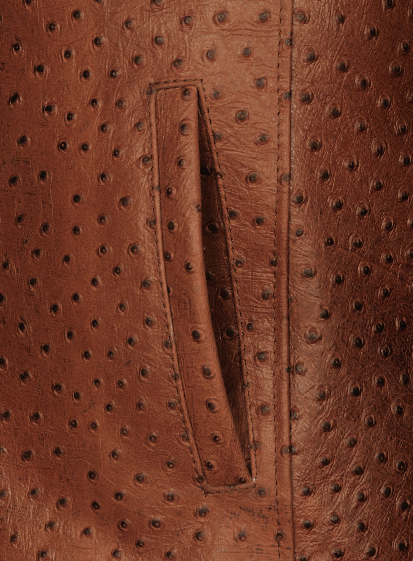Brown Ostrich Leather Hipster Jacket #2