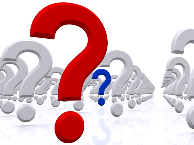 Frequently Asked Questions About Leather
