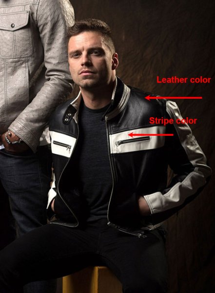 (image for) Sebastian Stan Leather Jacket