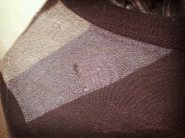 How to Protect Your Clothes from Moths