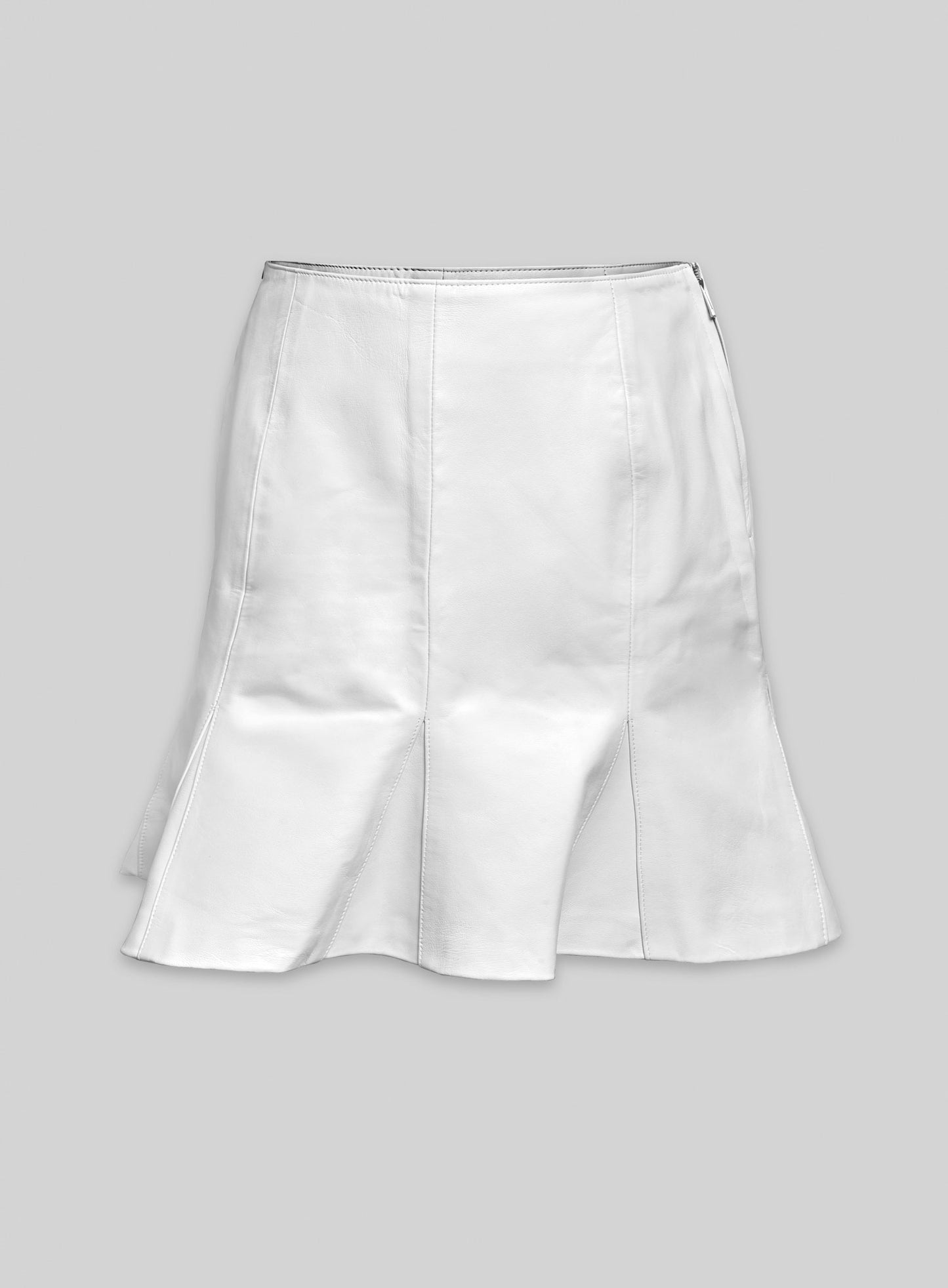 Fit and Flare Leather Skirt